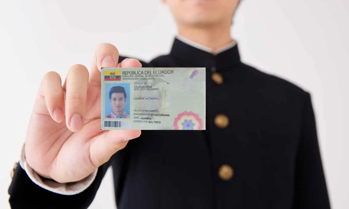 Bono De Desarrollo Humano Consulta Por Cedula
