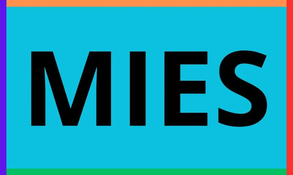 Mies que es