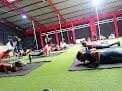 Gladiator Box Training
