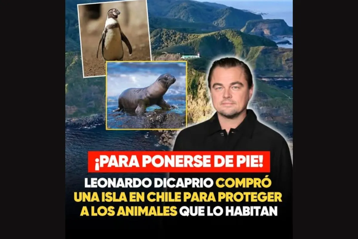 Leonardo DiCaprio adquiere una isla en Chile