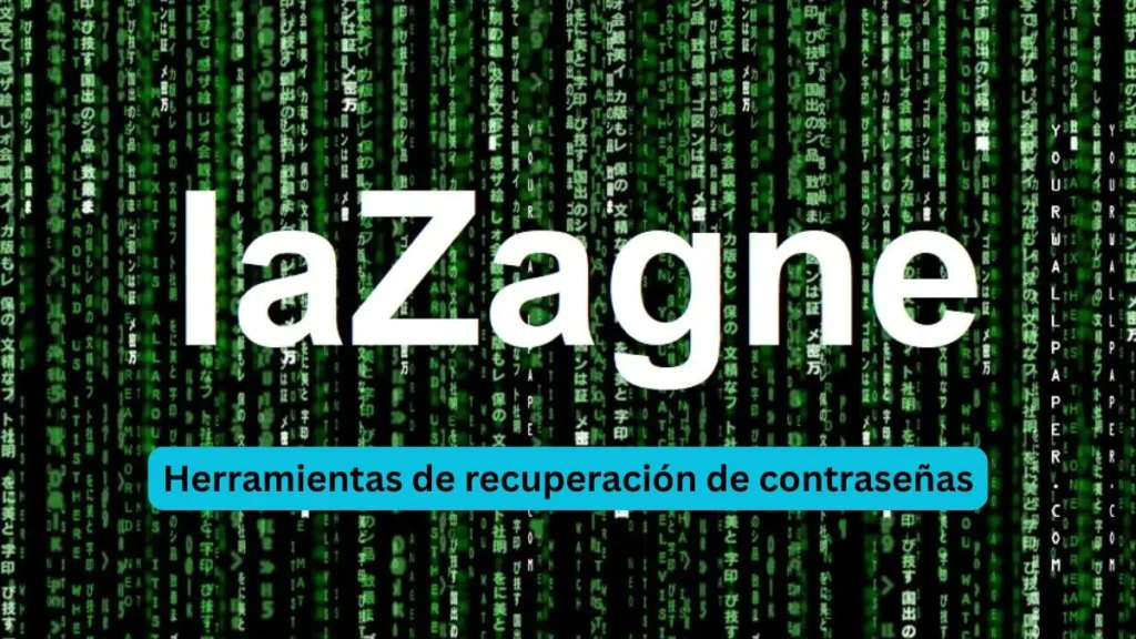 lazagne