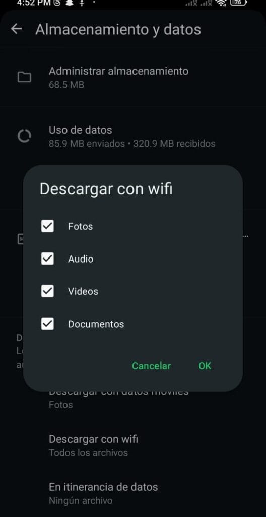 Descarga automática de WhatsApp